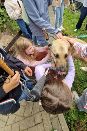 Blick von oben auf mehrere Kinder, die einen beigen, großen Hund streicheln, manche halten Langstöcke in den Händen.