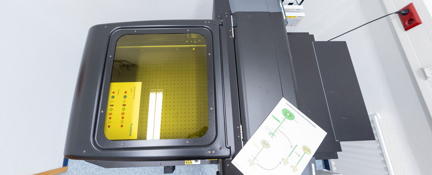 Ein UV-Drucker von oben, darauf liegt ein UV-bedrucktes Brett.