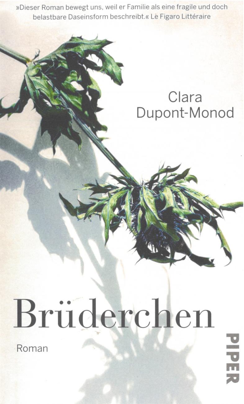 Buchcover des Romans "Brüderchen" von Clara Dupont-Monod, weißer Hintergrund, darauf ein Distelzweig, der Schatten wirft.