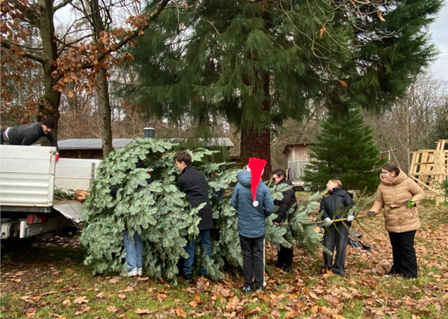 Die Klasse 7b läd den selbst geschlagenen Baum auf einen Transporter auf